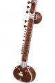 Sitar, Standard, Light, Padded Nylon Case