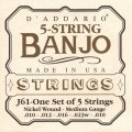 D'Addario J61 5-String Banjo Strings