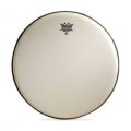 6" Remo Renaissance Diplomat Tom And Snare Drum Drumhead, DISCONTINUED, IN STOCK