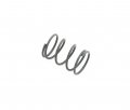 DW 3/4 Ratchet Spring, DWSP504