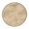 Remo Banjo Head, 11", High Collar Fibers