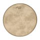 Remo Banjo Head, 11", High Collar Fibers