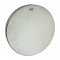 Remo Frame Drum, Fiberskyn Head, 16" x 2.5"