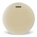 6" Evans Strata 1000 Tom Drumhead, CT06S