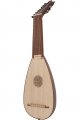 8-Course Travel Lute