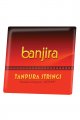 Banjira Female Tanpura String Set