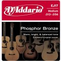 D'Addario EJ17 Phosphor Bronze Acoustic Guitar Strings, Medium, 13-56