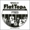 D'Addario FT023 Semi-Flat Phosphor Bronze Acoustic Guitar Single String, .023
