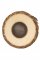 Mridangam Head, Pitched (Valanthalai), 6.5"